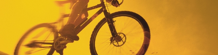(c) Annes-bikes.de